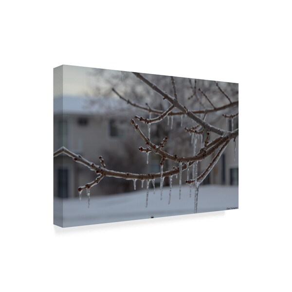 Ian Tornquist 'Frozen Trees' Canvas Art,16x24